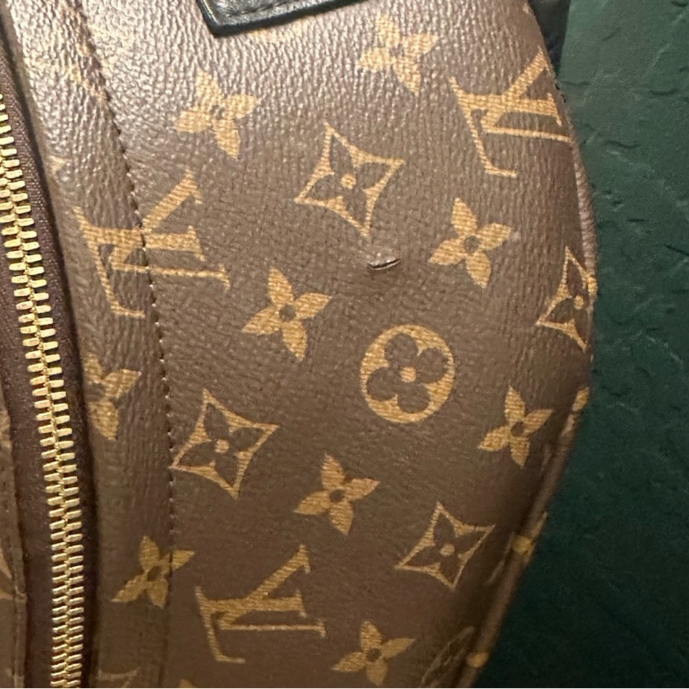 Louis Vuitton Palm Springs MM - Picture 8 of 10